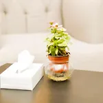 Al Farhan Hotel Suites Al Aqiq